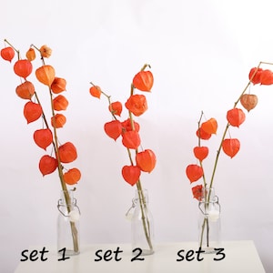 Könnte beinhalten: Drei Glasflaschen mit orangefarbenen Papierlaternen. Die Flaschen sind mit "Set 1", "Set 2" und "Set 3" beschriftet.