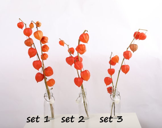 Orange Fall Floral Stems (Pack of 3 Stems)