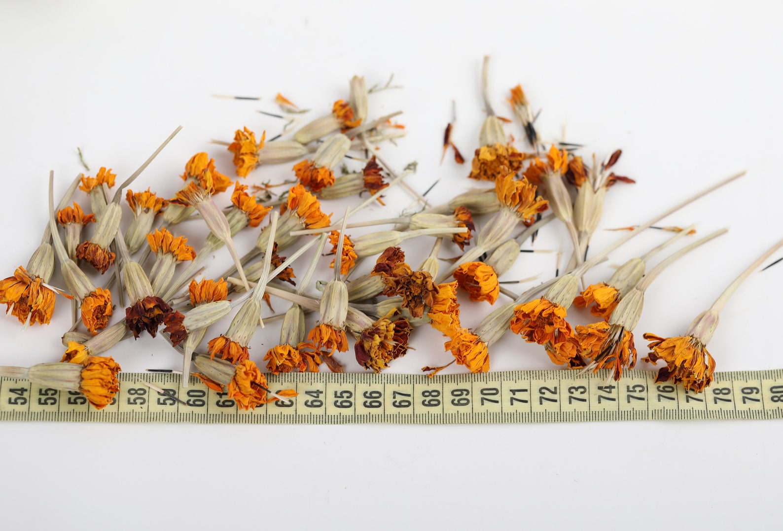 50 Dried Marigold Flowers Dry Marigold Flowers Dried Organic Etsy