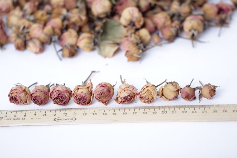 Rosebud Natural Dried Aged Roses Dried Tiny Rose Rose Color | Etsy