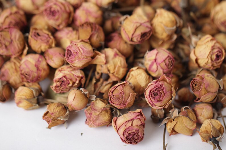 Rosebud Natural Dried Aged Roses Dried Tiny Rose Rose Color | Etsy