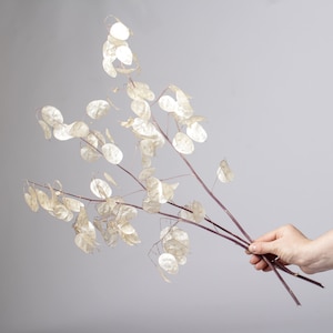 Branches Lunaria dried flowers for resin Money plant lunaria biennis crafts Dried Flower diy resin Honesty Flower Craft Supply Resin