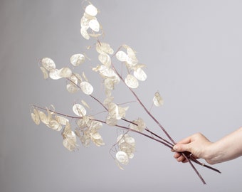 Branches Lunaria dried flowers for resin Money plant lunaria biennis crafts Dried Flower diy resin Honesty Flower Craft Supply Resin