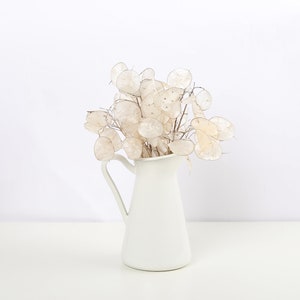 10 short Branches Lunaria dried flowers Money plant lunaria biennis Silver dollar Honesty Flower