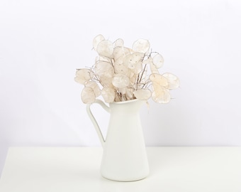10 short Branches Lunaria dried flowers Money plant lunaria biennis Silver dollar Honesty Flower