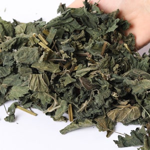 Organic Stinging Nettle Leaf