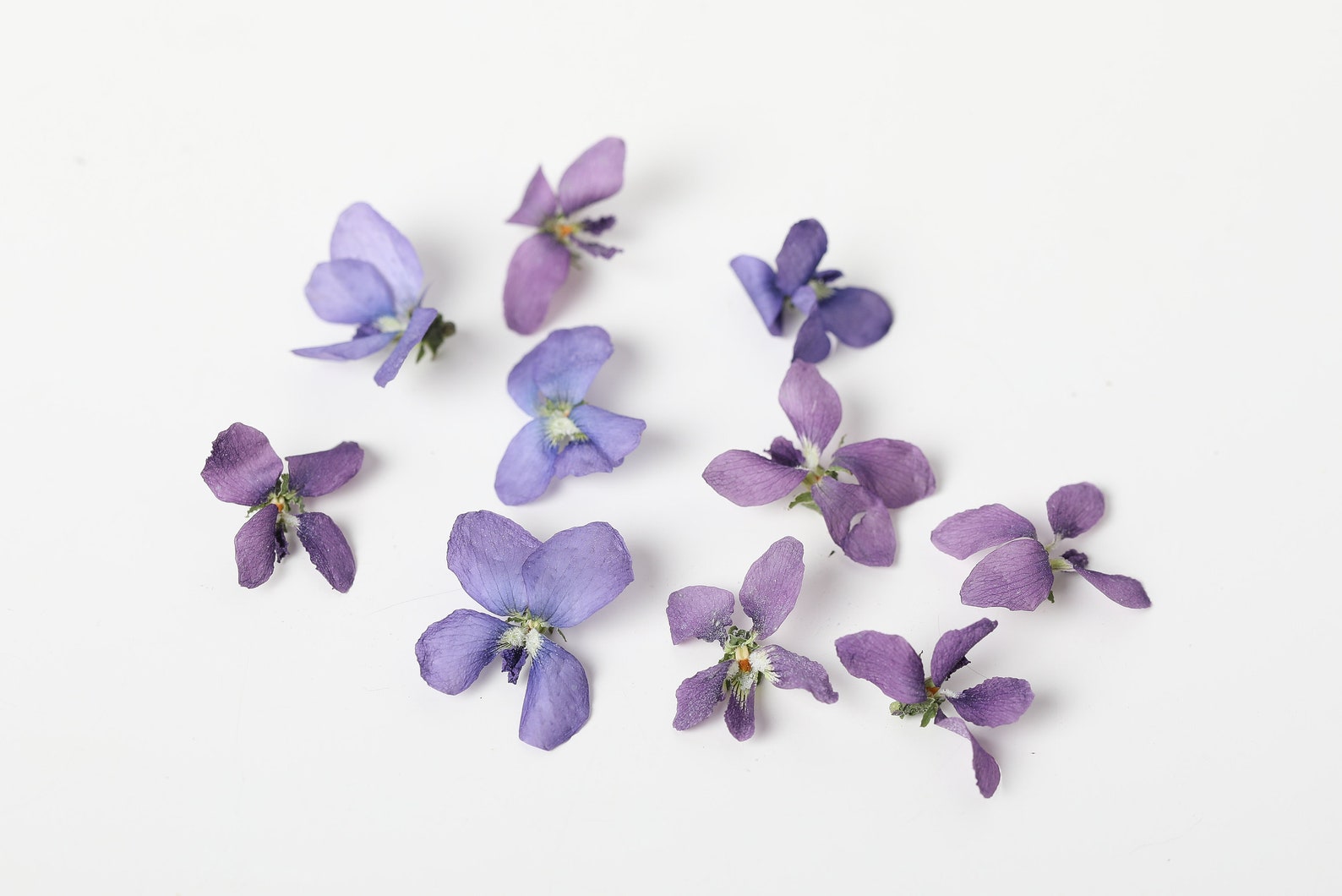 Violet flowers dried violet flowers for crafting violet Etsy