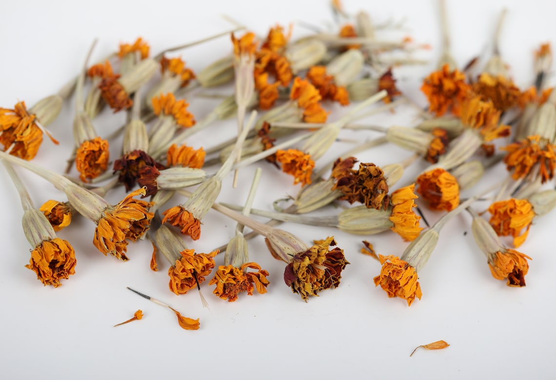 50 Dried Marigold Flowers Dry Marigold Flowers Dried Organic Etsy