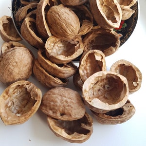 Organic Natural Walnut shell halves round Natural light Walnut halves creativity Walnut slices Wedding Ornament Crafts Supplies