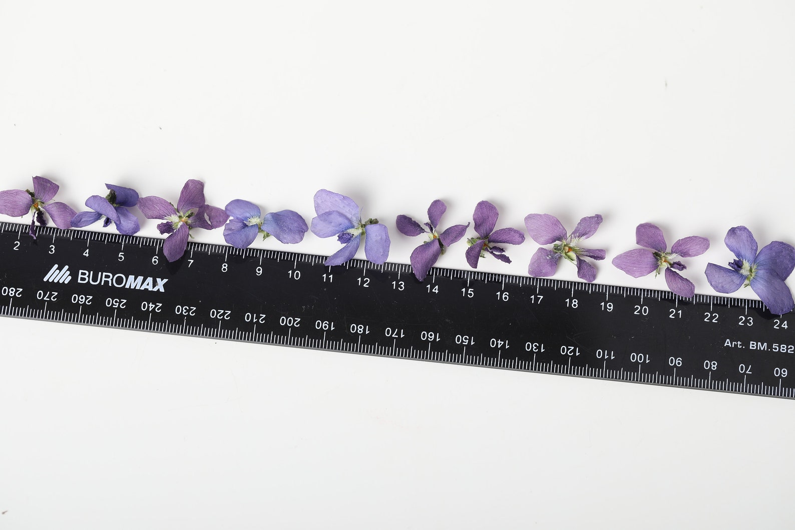 Violet flowers dried violet flowers for crafting violet Etsy