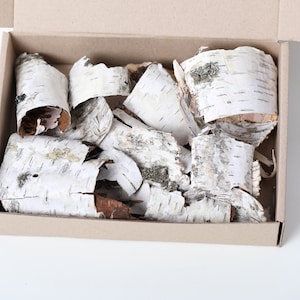 BIRCH BARK, Birch Bark Sheets, Birch Sheets Craft, Birch Pieces, Birch Wood Sheets, Natural Rustic Bark Pieces for Craft and Decoration
