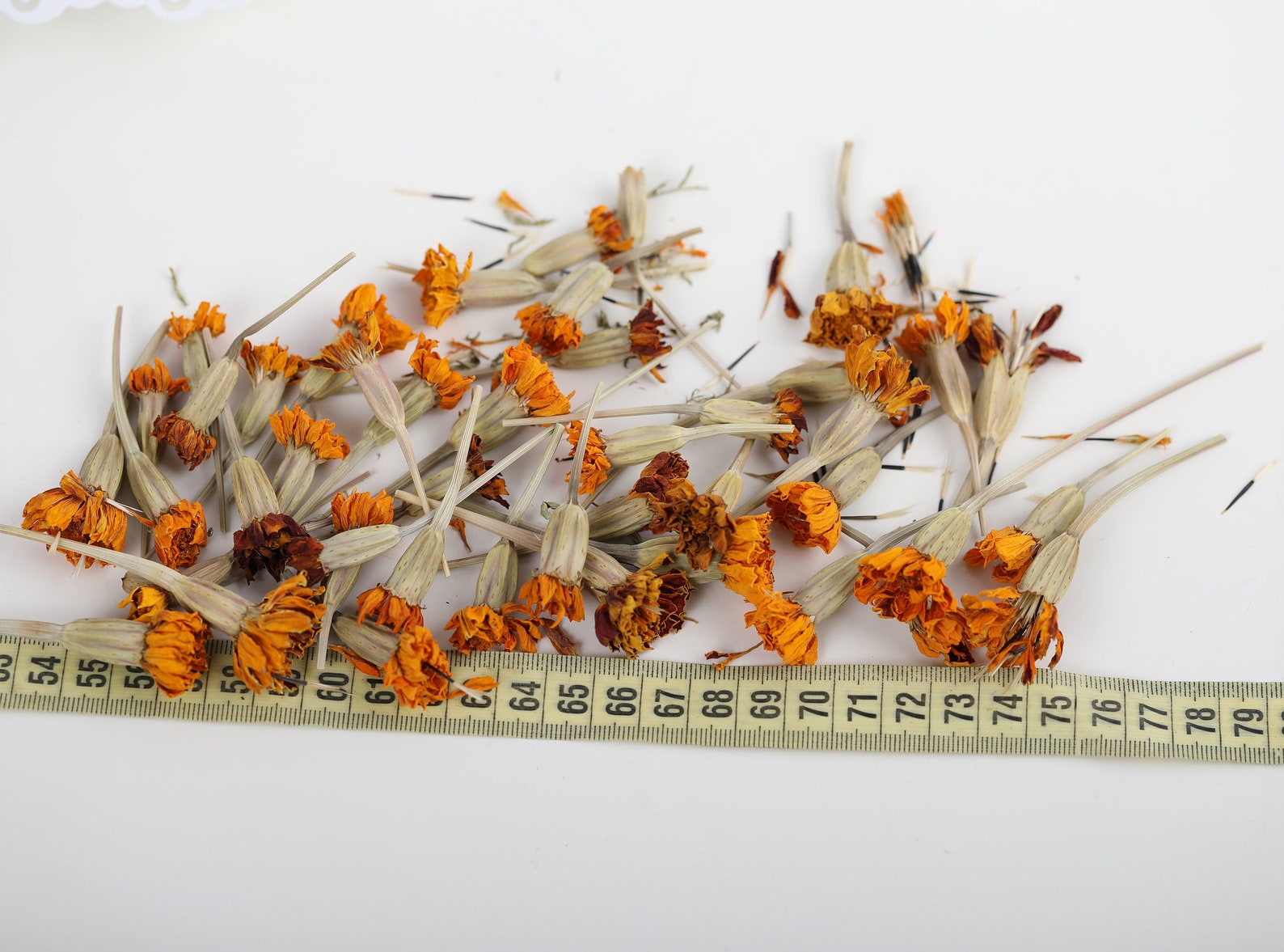 50 Dried Marigold Flowers Dry Marigold Flowers Dried Organic Etsy