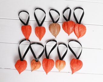 10 Oganic Natural Physalis Pods Chiński lampion Woodland rustykalny pomarańczowy suszony kwiat zestaw 10 sztuk