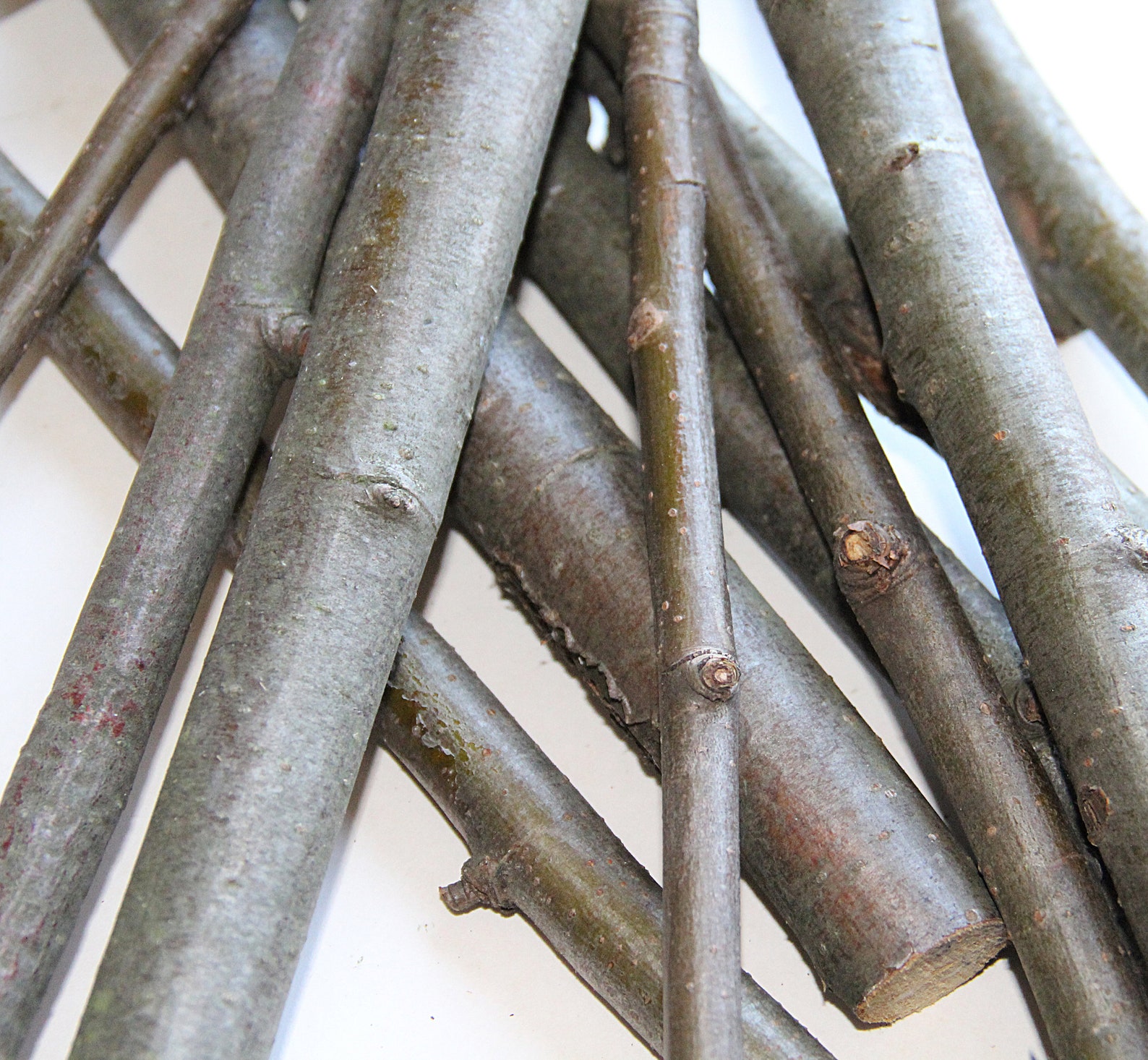 Rowan Sticks Rowan Wood Rowan Branches Rowan Tree Art Set Etsy