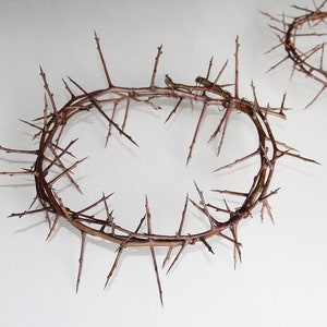 thorn crown natural thorn wreath thorn hoop