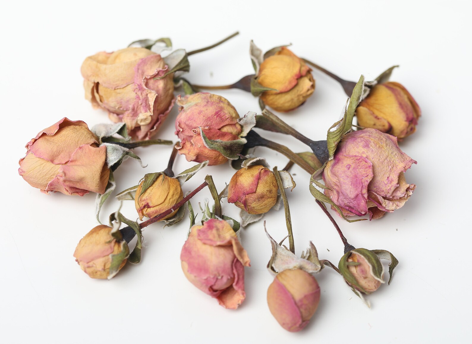 Nude Rosebud natural dried tiny rose rose color of powder | Etsy