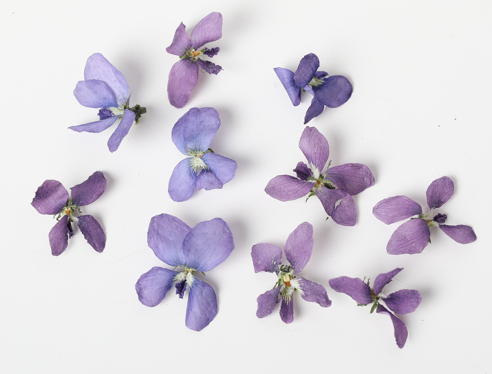 Violet flowers dried violet flowers for crafting violet Etsy