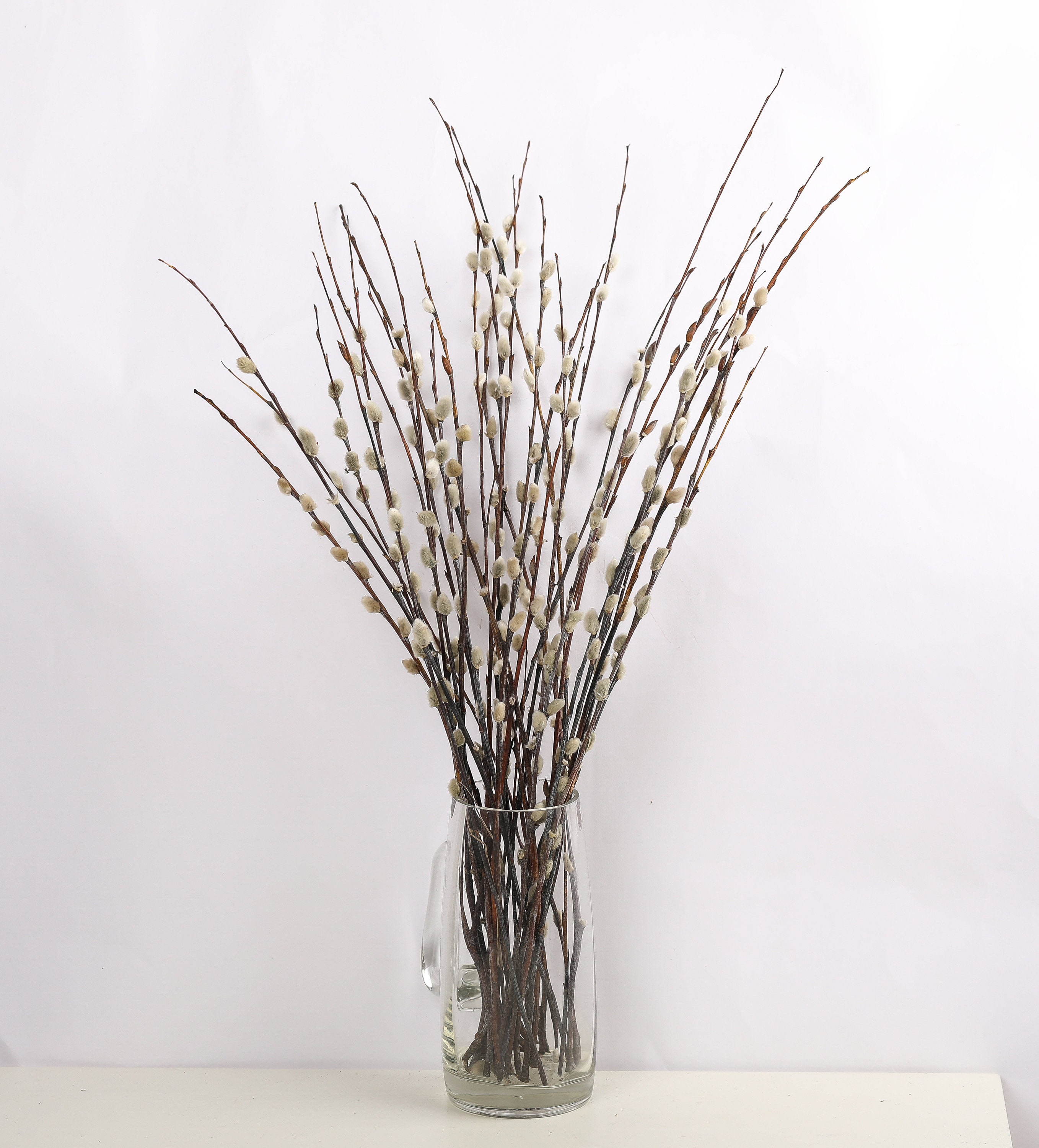 Preserved Pussy Willow Bunch