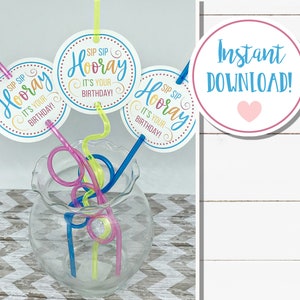 SIP SIP  HOORAY Birthday Gift Tags 3&quot; Circle