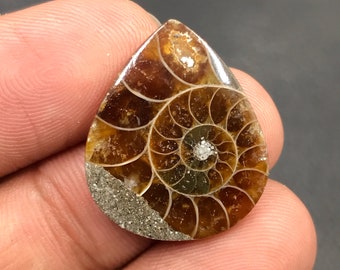 Ammonite Cabochon...Pear Cabochon...24x20x4 mm...14 Cts...A#M4566