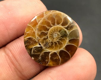 Ammonit Cabochon...Birnencabochon...19x4 mm...13 Cts...A#M4579
