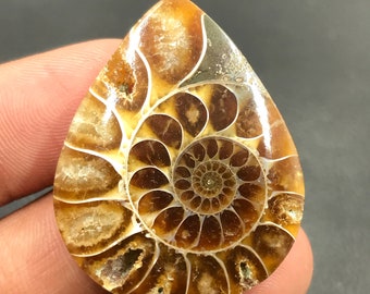 Ammonit Cabochon...Birnencabochon...38x30x8 mm...66 Cts...A#M4562