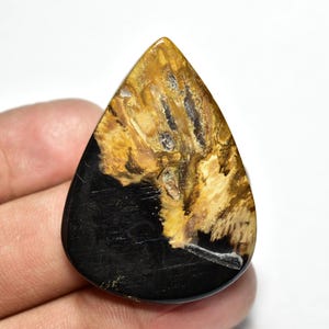 May include: A teardrop-shaped gemstone with a polished surface. The top half features a mix of golden-brown and tan wood-like patterns, while the bottom half is a solid, glossy black. The stone is held in a hand.