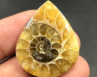 Ammonite Cabochon...Pear Cabochon...33x27x5 mm...87 Cts...A#M4564