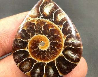 Ammonite Cabochon...Pear Cabochon...38x32x5 mm...51 Cts...A#M4561