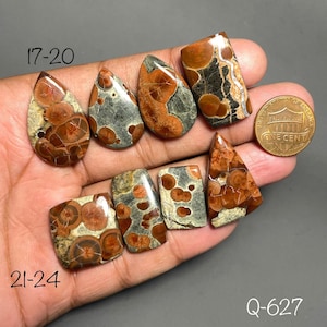 Könnte beinhalten: Acht polierte orbikulare Rhyolith-Cabochons mit braunen und grauen kreisförmigen Mustern, angeordnet in zwei Reihen mit der Beschriftung 17-20 und 21-24. Eine kupferne Ein-Cent-Münze dient als Größenvergleich für diese glatten Steine.