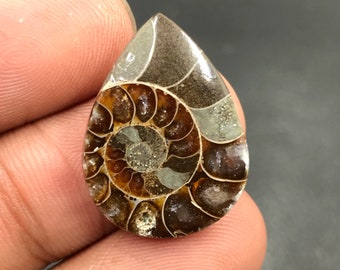 Ammonit-Cabochon...Birnen-Cabochon...23x17x4 mm...15 Cts...A#M4567