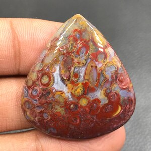Red Tube Palm Root Cabochon...Pear Cabochon...39x30x7 mm...57 Cts...A#K4365
