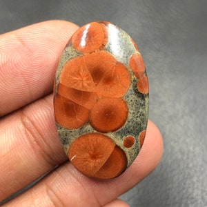 Peanut Obsidian Cabochon...Oval Cabochon...34x20x5 mm...26 Cts...A#M7940