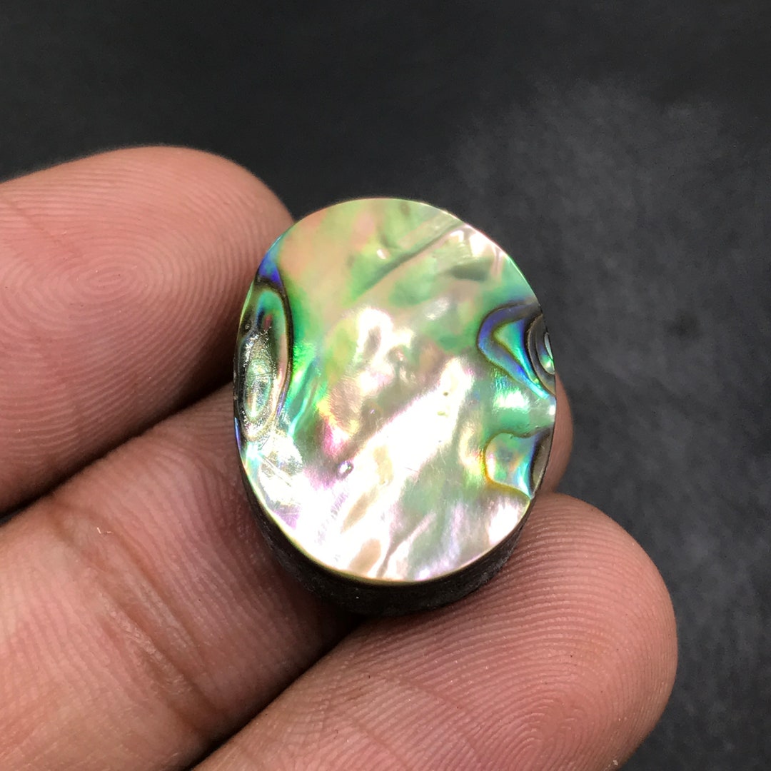 「アバロン」グリーンアバロン アバロンシェル 1255g 815g Abalone Shell Cabochonoval Cabochon22x16x6 Mm19 Ctsa