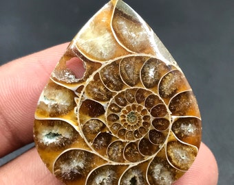 Ammonit-Cabochon...Birnen-Cabochon...38x32x6 mm...56 Cts...A#M4560