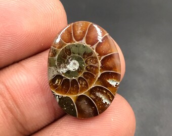 Cabochon d'ammonite...Cabochon ovale...20x15x4 mm...11 Cts...A#M4558