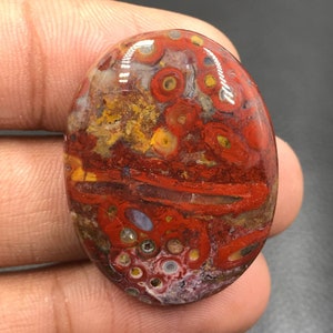 Red Tube Palm Root Cabochon...Oval Cabochon...34x26x7 mm...52 Cts...A#K4357