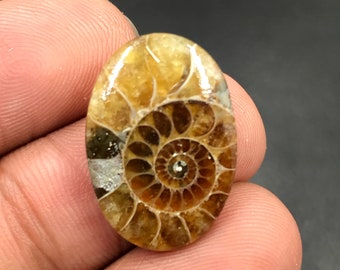 Cabochon d'ammonite...Cabochon ovale...22x15x4 mm...13 Cts...A#M4557