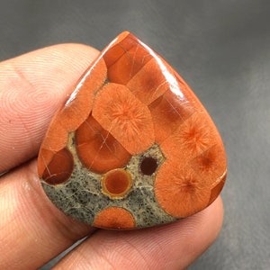 Peanut Obsidian Cabochon...Pear Cabochon...30x29x6 mm...39 Cts...A#M7951