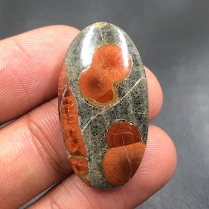 Peanut Obsidian Cabochon...Oval Cabochon...33x18x5 mm...25 Cts...A#M7942