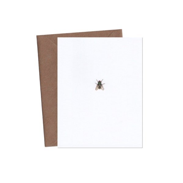 Fly Greeting Card - Housefly Card - Bug Card - Funny Greeting Card