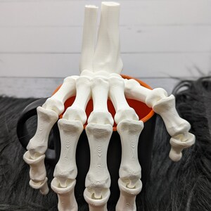 Skeleton Hand Flexi Factory image 3