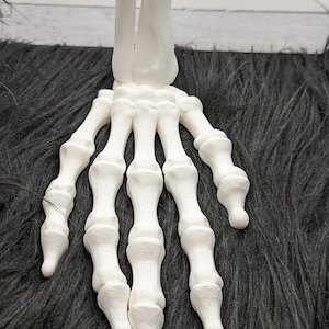 Skeleton Hand Flexi Factory image 4