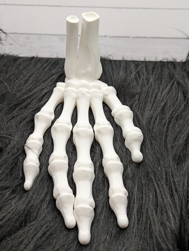 Skeleton Hand Flexi Factory image 4