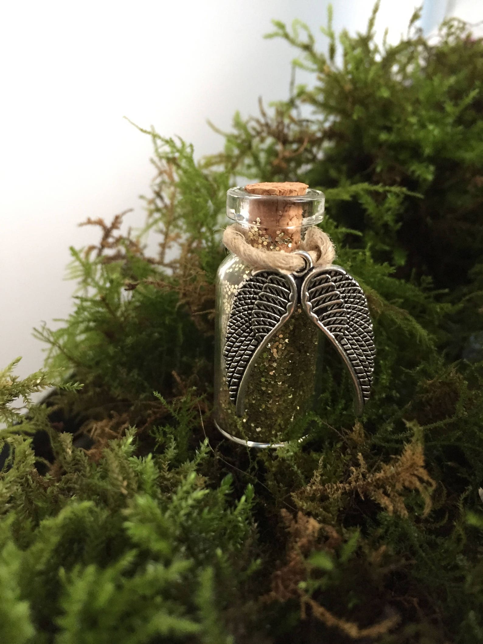 Polvo de hadas con alas polvo de Hadie polvo de hadas favor Etsy