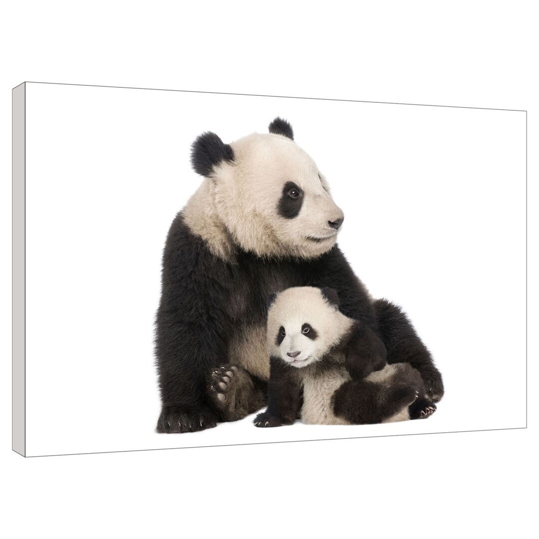 Cute Panda and Cub Canvas Wall Art Print 76cm X 51cm 30 X 20 - Etsy