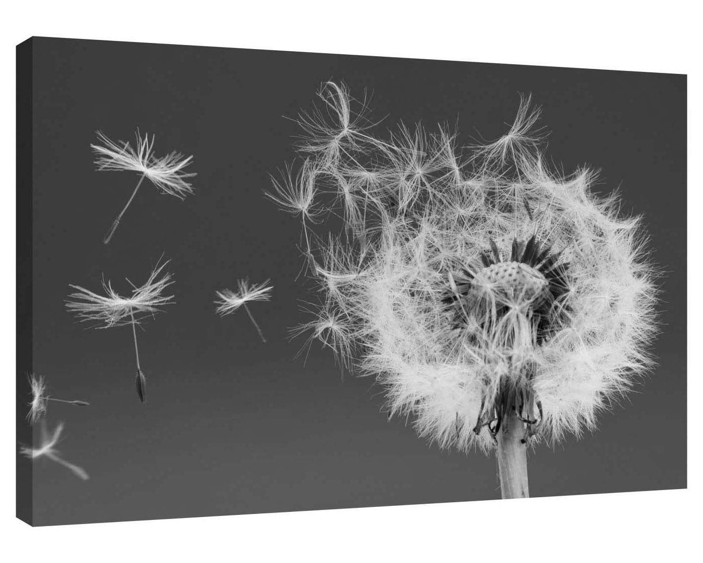 Dandelion Seeds Canvas Wall Art Print Also in Colour or Sepia Etsy UK