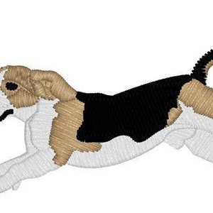 Puede incluir: Un perro beagle marrón, negro y blanco corriendo con la lengua fuera.
