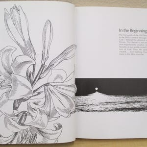 Puede incluir: Una ilustraci&oacute;n en blanco y negro de una flor de lirio con el texto "In the Beginning" en el lado derecho de la p&aacute;gina. El texto describe las primeras palabras de la introducci&oacute;n del Antiguo Testamento al mensaje central de la Biblia.