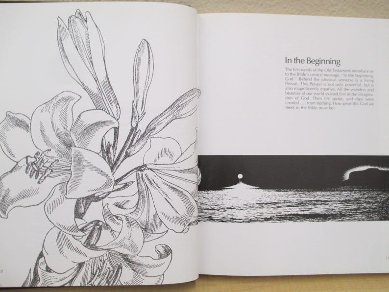 Puede incluir: Una ilustraci&oacute;n en blanco y negro de una flor de lirio con el texto "In the Beginning" en el lado derecho de la p&aacute;gina. El texto describe las primeras palabras de la introducci&oacute;n del Antiguo Testamento al mensaje central de la Biblia.